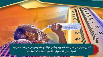 تحذير عاجل من الأرصاد الجوية بشأن ارتفاع ملموس في درجات الحرارة.. تعرف على تفاصيل طقس الساعات المقبلة
